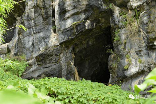娱乐吃瓜村,揭秘娱乐圈背后的那些事儿